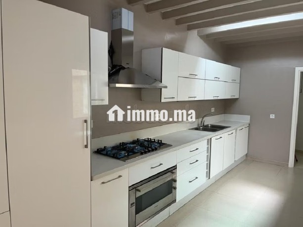 luxueux-appart-de-176-metres-carres-avec-terrasse-big-11