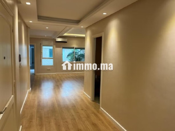 luxueux-appart-de-176-metres-carres-avec-terrasse-big-3