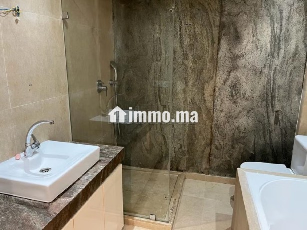luxueux-appart-de-176-metres-carres-avec-terrasse-big-7