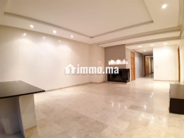 appartement-en-location-a-racine-extension-1-piece-ascenseur-et-terrasse-big-0