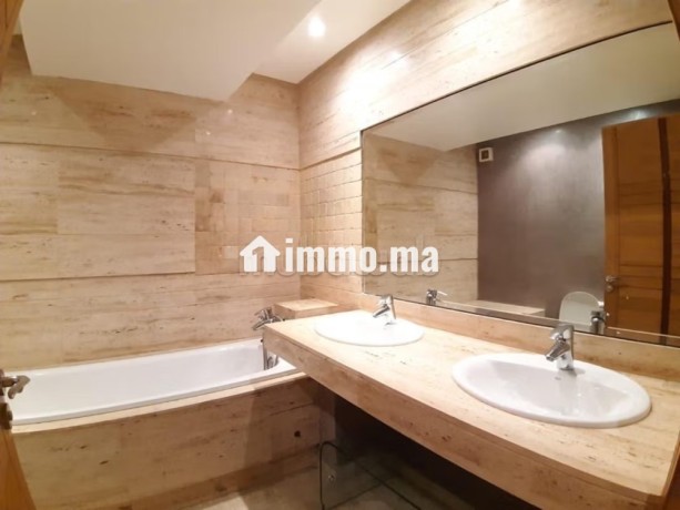 appartement-en-location-a-racine-extension-1-piece-ascenseur-et-terrasse-big-3