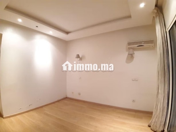 appartement-en-location-a-racine-extension-1-piece-ascenseur-et-terrasse-big-5