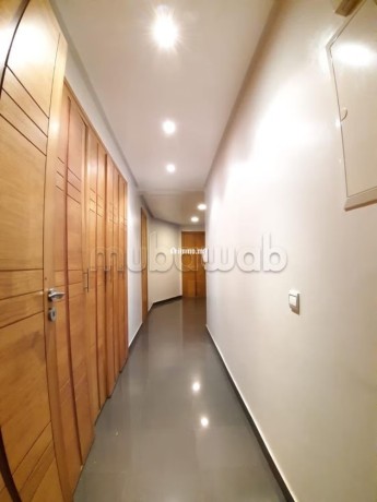 appartement-en-location-a-racine-extension-1-piece-ascenseur-et-terrasse-big-7