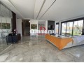 villa-haut-standing-a-louer-el-menzeh-small-3