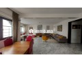a-vendre-duplex-318m2-4-chambres-racine-small-9