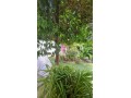 villa-moderne-a-vendre-a-hay-riad-rabat-small-19