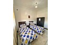 appartement-meuble-pour-location-small-2