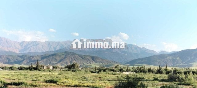 vente-terrain-agricole-de-52330-m2-a-marrakech-big-0