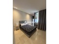 studio-meuble-a-louer-palmiers-inclus-wi-fi-small-4