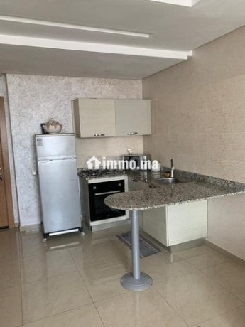 appartement-islane-meuble-big-3