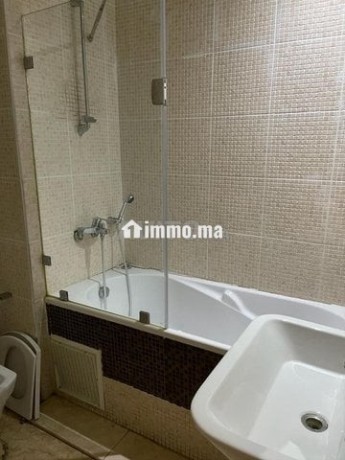 bel-appartement-meuble-a-racine-big-2