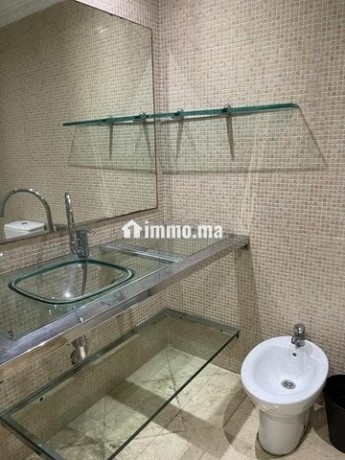 bel-appartement-meuble-a-racine-big-5