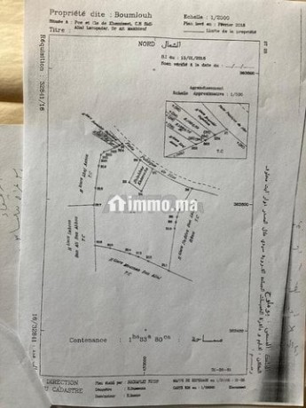 184-ha-agricole-a-10-min-de-khemisset-big-1