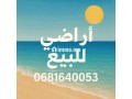 arady-llbyaa-small-0