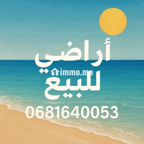 arady-llbyaa-big-0
