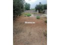 vente-terrain-nu-de-645-m2-a-marrakech-small-1