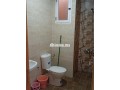 shkk-llkraaa-fy-shfshaon-small-5