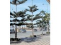 appartement-luxe-en-face-la-plage-small-10