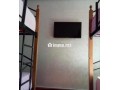 appartement-luxe-en-face-la-plage-small-6