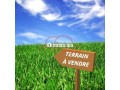 vente-terrain-nu-de-14947-m2-a-marrakech-small-0