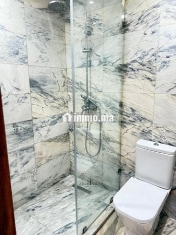 grand-appartement-de-220-m2-entoure-de-terrasses-big-8