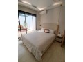loft-de-luxe-jamais-habite-avec-terrasse-small-2