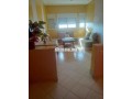 apprt-tilia-pres-de-bricoma-small-0