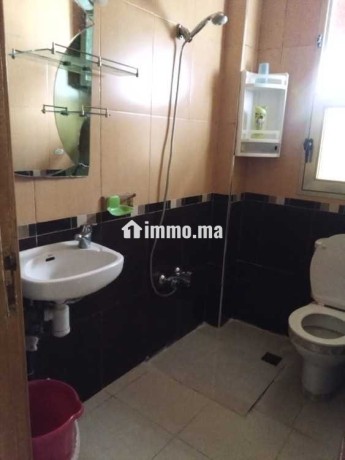 appartement-chic-et-calme-en-location-big-3