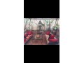louez-cet-appartement-a-racine-3-grandes-pieces-meuble-small-0