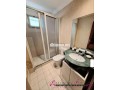 racine-studio-meuble-avec-grande-terrasse-a-louer-small-8