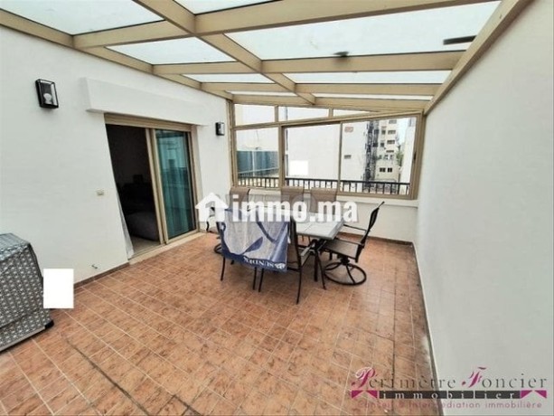 racine-studio-meuble-avec-grande-terrasse-a-louer-big-7