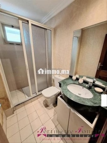 racine-studio-meuble-avec-grande-terrasse-a-louer-big-8