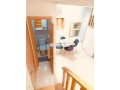 tres-beau-duplex-studio-a-2-mars-meuble-small-2