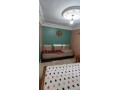 shk-fy-shfshaon-bganb-alksb-osah-alhmam-small-11