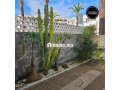 villa-moderne-a-louer-quartier-hassan-small-6