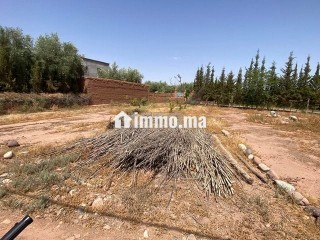 أرض للبيع مساحتها 290متر ملكية ثمن 100000درهم - Terrain à vendre - Marrakech