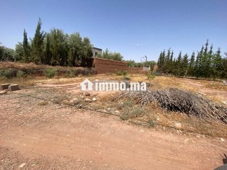 أرض للبيع مساحتها 290متر ملكية ثمن 100000درهم - Terrain à vendre - Marrakech