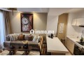 a-louer-bijoux-studio-rez-jardin-cfc-moderne-small-9