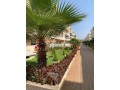 appartement-a-louer-75-m2-a-mohammedia-small-6