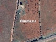 Une jolie ferme de 1,5 hectares titré - Terrain à vendre - Fes