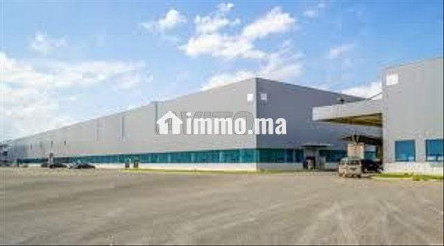 Terrain zone logistique - Vente Immobilier - Mohammedia - photo 1