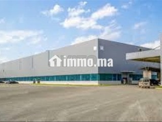 terrain-zone-logistique