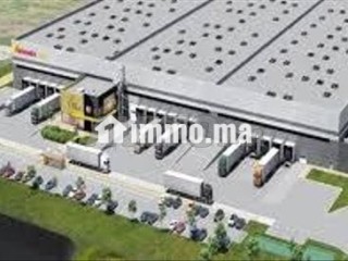 Terrain zone logistique - Terrain à vendre - Mohammedia