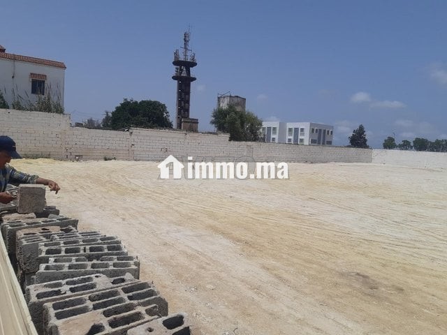 أرض للكراء 2000 متر في 2مارس مجهزة بالكهرباء - Location Immobilier - Casablanca - photo 3