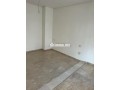 appartement-a-louer-vide-a-rond-point-la-gironde-small-6