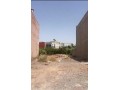 argan-golf-small-0