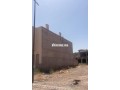 argan-golf-small-1