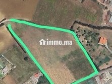 vente-terrain-titre