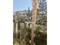 villa-moderne-avec-piscine-a-mohammedia-small-4