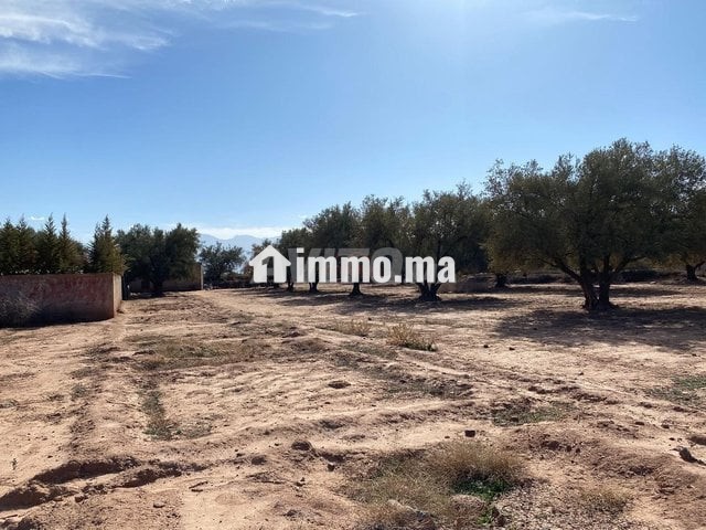 Vente Terrain nu de 1000 m2 à Marrakech - Vente Immobilier - Marrakech - photo 1